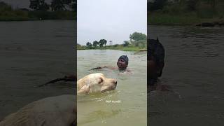 Krish ni swimming ki thiskonivella mawa...#shorts #viral #video #ytsho