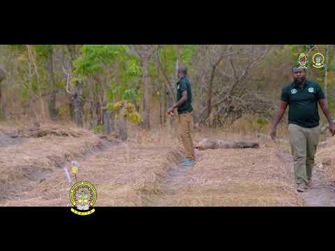 ANDREW AFISA KILIMO-TORITA