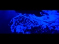 Roger Shah Pres. Sunlounger - Son Of A Beach 1080p