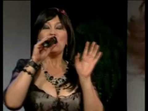 Badi Bekir & Niko Srebrov - Kim Arar (COVER)