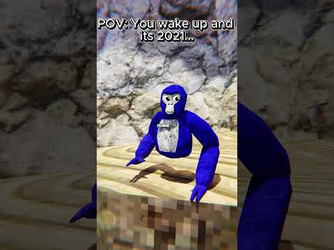 POV: You wake up and its 2021  #gorillatag #gtag #shorts #vr