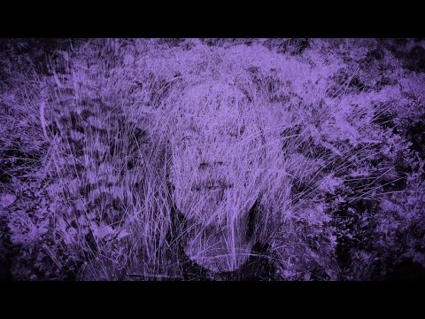 Play Video Youtube Video