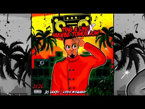DJ LEEYO [2026] - Ting A Ling X Maybe Tomorrow