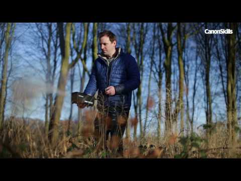 Use fog in landscapes