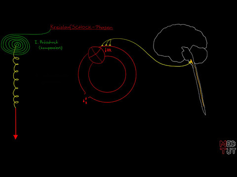 KREISLAUFSCHOCK - ÜBERSICHT (6/9) (Vorschau)