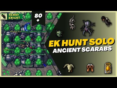 TIBIA: EK HUNT SOLO #47 ANCIENT SCARAB (MOTHER OF SCARABS LAIR)