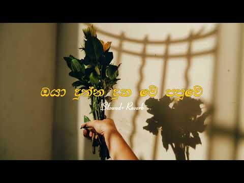 Oya dunna duka me papuwe | ඔයා දුන්න දුක මේ පපුවේ (Slowed +Reverb) #trending #sinhalasongs #lofi