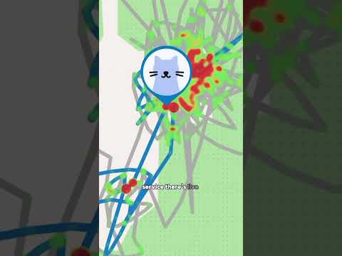 Let’s Talk Cat GPS Trackers👇🏻