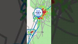 Let’s Talk Cat GPS Trackers👇🏻