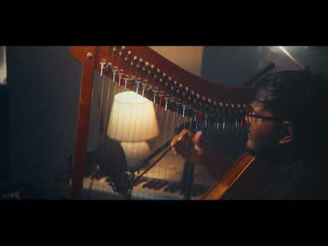 Tulip Mal Kakuli - Chillie - Harp Cover by Carllin