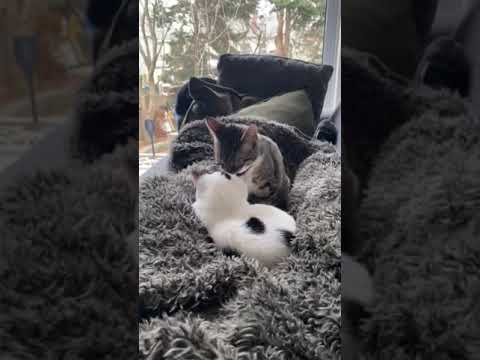 Brenna Showing Her Sister Some Love