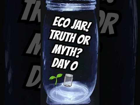 Can Life Survive in a Jar? 🌱🦐