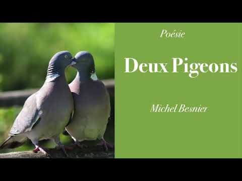 Vidéo de Michel Besnier