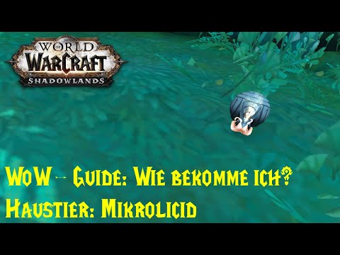 WoW Guide: How to get the Microlicide? - Blueprint: Microlicide