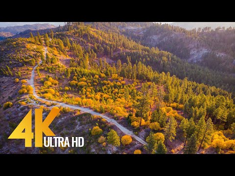 4K Drone Footage - Fall Colors of Mountain Home Road, Leavenworth, WA State - 3 Hour Drone Film