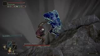 【エルデンリング】秘技、道連れ