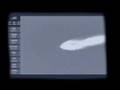 nixons spirit - paul oakenfold 