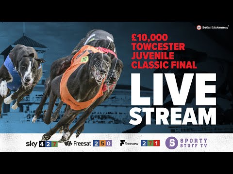 £10,000 Towcester Juvenile Classic Final | Live Greyhound Racing | Racing Post Greyhound TV