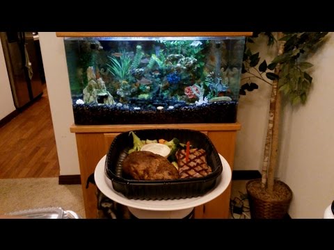 download lagu mp3 mp4 7 Oz Sirloin, download lagu 7 Oz Sirloin gratis, unduh video klip 7 Oz Sirloin