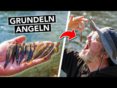 Angeln auf invasive Delikatesse 🎣 Grundeln fangen, töten & lecker zubereiten