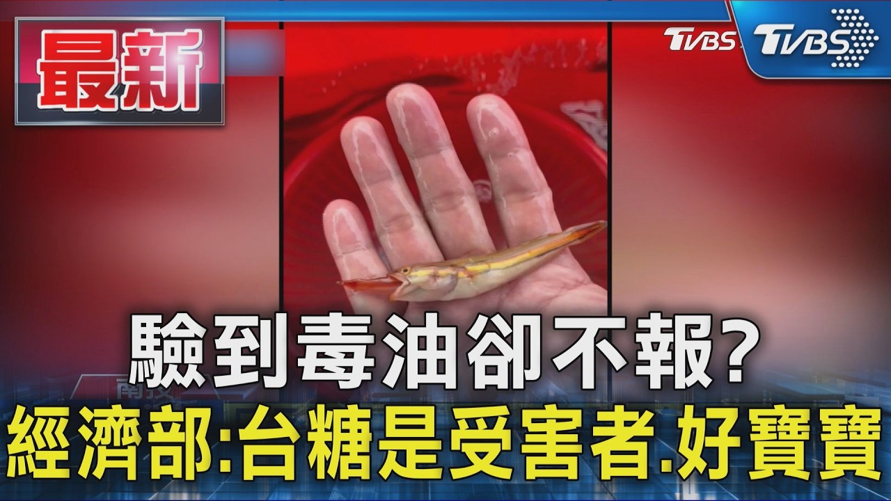 日月潭魚虎球出沒 又見「紅色死亡泡泡」|TVBS新聞 @TVBSNEWS01
