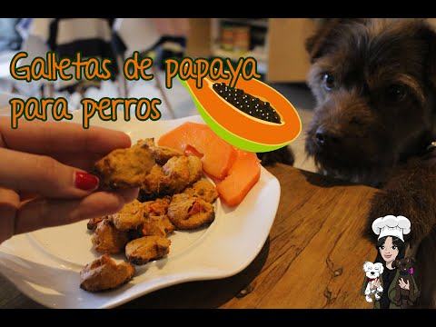 Como hacer Galletas de Papaya para perros en casa - Recetas para Perros Cristy Pet Chef