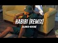 King Ricky Rich Habibi Indian Remix Slowed Reverb