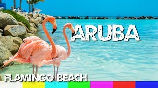 Aruba: Flamingo Beach (Praia dos Flamingos) - Renaissance Island