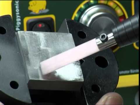 SMAX Halter V3 mit Cristone