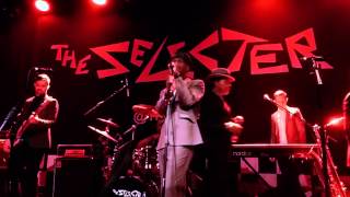 The Selecter: 'Train To Skaville / Too Much Pressure'