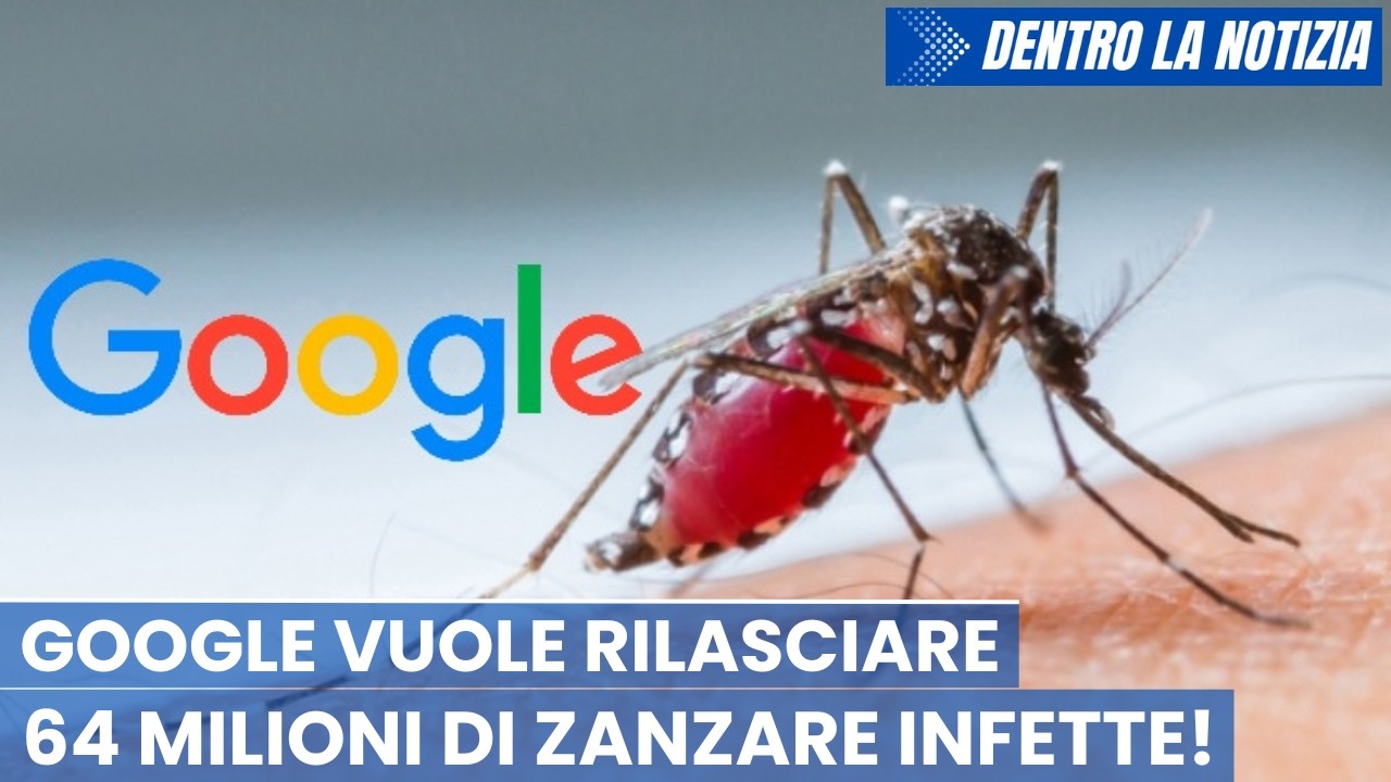 Dopo Gates anche Google vuole rilasciare 64 milioni di zanzare infette! 4 studi scientifici: rischi