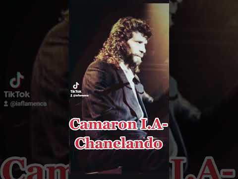 Camaron I.A-Chanelando(Diego el cigala)
