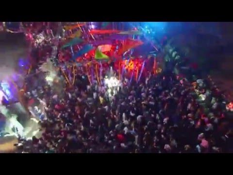 Flower Power - Felipa