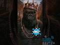 Why Kong Is The Strongest Ape In Godzilla X Kong Shorts