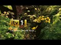 Itv1 Channel Of The Year Garden 2011