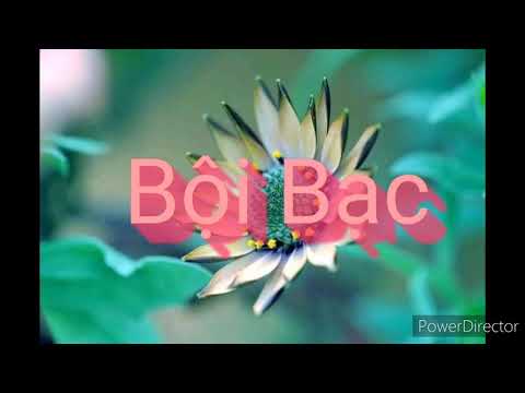 Thể hiện bởi Mạnh Quỳnh