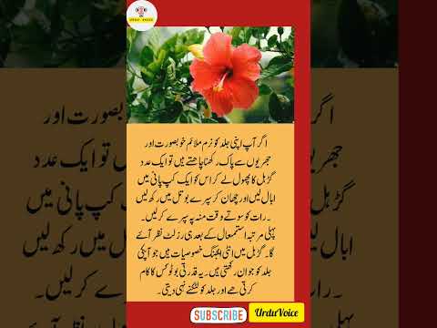 Blooming Beauty |Hibiscus for Glowing Skin| Quick Tips for a Radiant Complexion #Shorts #ytshorts