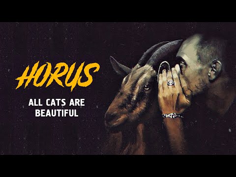 Video thumbnail for All Cats Are Beautiful (edited version)