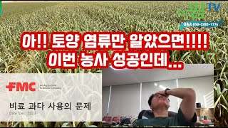 농업의 기초 기술 "작물 재배 실패의 주 원인은?? 염류관리에서 시작합니다!!" 염류 문제의 원인은?