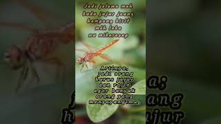 Download lagu Kata Bijak Bahasa Sunda 2022 || hampang birit #shorts mp3 Download lagu Kata Bijak Bahasa Sunda 2022 || hampang birit #shorts mp3