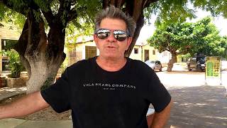 A frutífera mais antiga do Brasil, segundo historiador da costa brasileira.