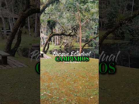 📍 Parque Estadual de Campinhos - Tunas do Paraná 🇧🇷 #valedoribeira #parana #turismoparana #trip