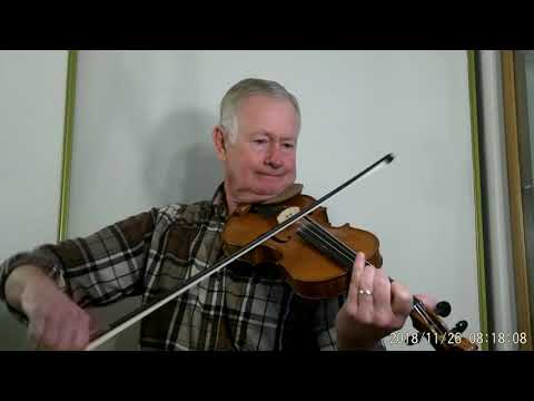 Gliga Maestro Violin Helicore strings Beaumont Rag in D