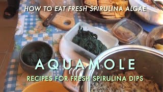 preview picture of video 'How To Eat Fresh Spirulina Algae in Aquamole Dips'