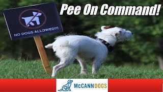 How To Teach Your Dog To Go Potty On Command - Professional Dog Training Tips