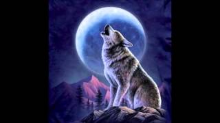 Quattro cani   F  De Gregori L  Dalla + lyrics