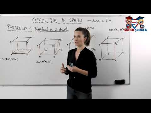 Clasa a VIII-a - Paralelism. Unghiul a două drepte