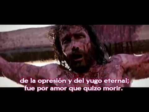 Fue por amor    Felipe garibo