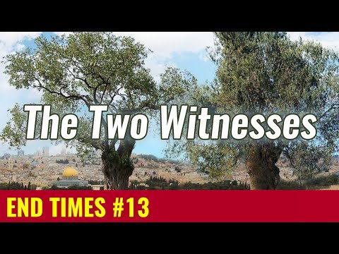 Who are the Two Witnesses? (Revelation 11)