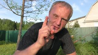 Ссылка